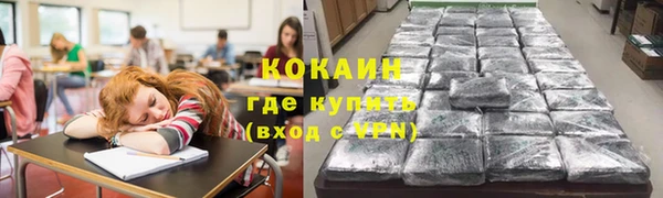 Альфа ПВП Верея