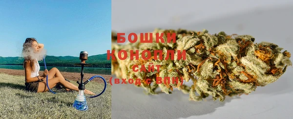 Альфа ПВП Верея