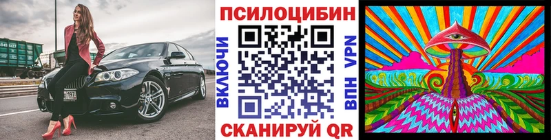 Купить  Гурьевск  Галлюциногенные грибы Magic Shrooms 